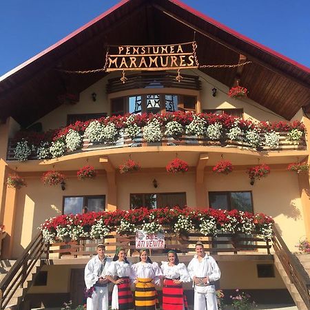 Pensiunea Maramures Ocna Şugatag Zewnętrze zdjęcie