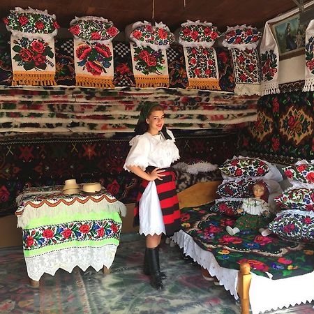 Pensiunea Maramures Ocna Şugatag Zewnętrze zdjęcie