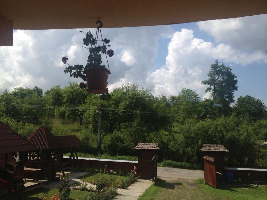 Pensiunea Maramures Ocna Şugatag Zewnętrze zdjęcie