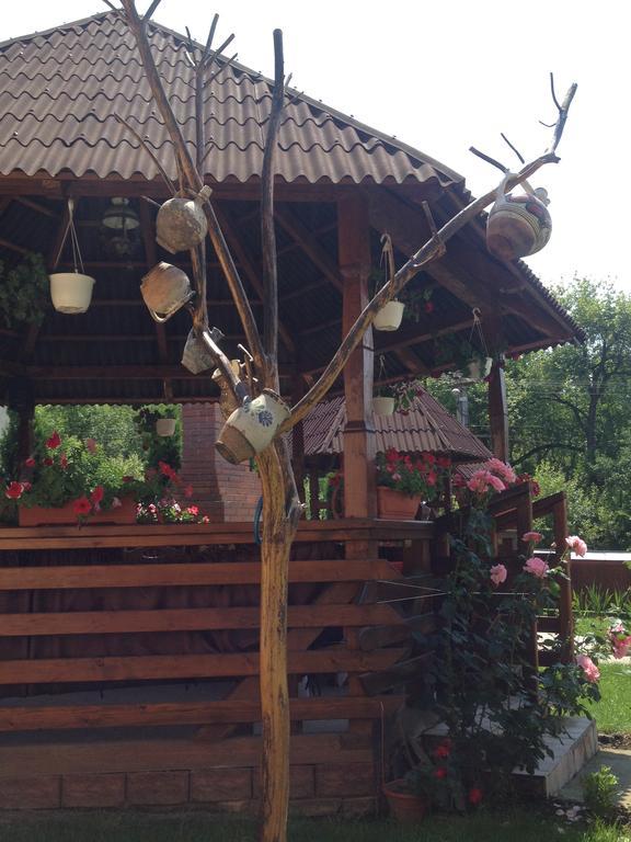 Pensiunea Maramures Ocna Şugatag Zewnętrze zdjęcie
