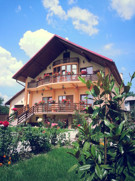 Pensiunea Maramures Ocna Şugatag Zewnętrze zdjęcie