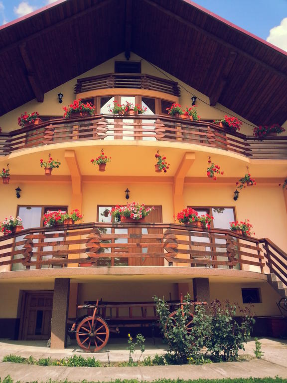 Pensiunea Maramures Ocna Şugatag Zewnętrze zdjęcie