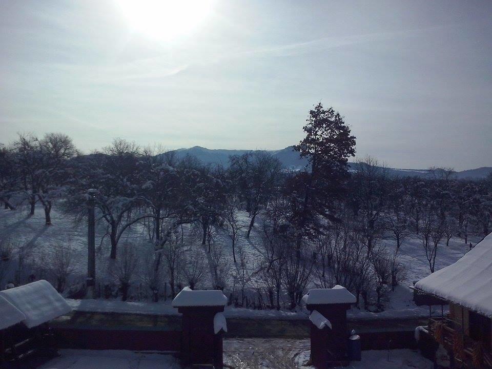 Pensiunea Maramures Ocna Şugatag Zewnętrze zdjęcie