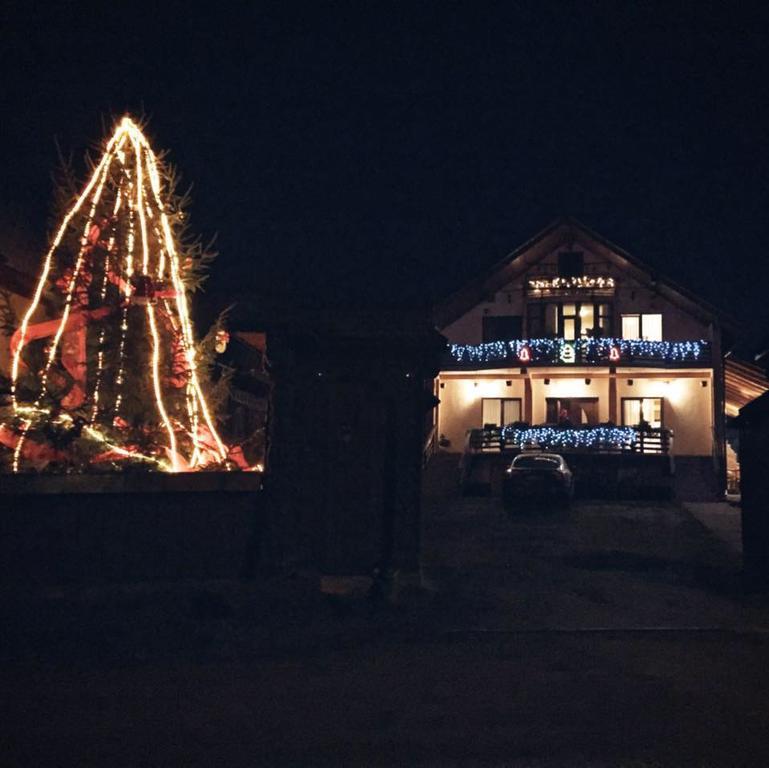 Pensiunea Maramures Ocna Şugatag Zewnętrze zdjęcie
