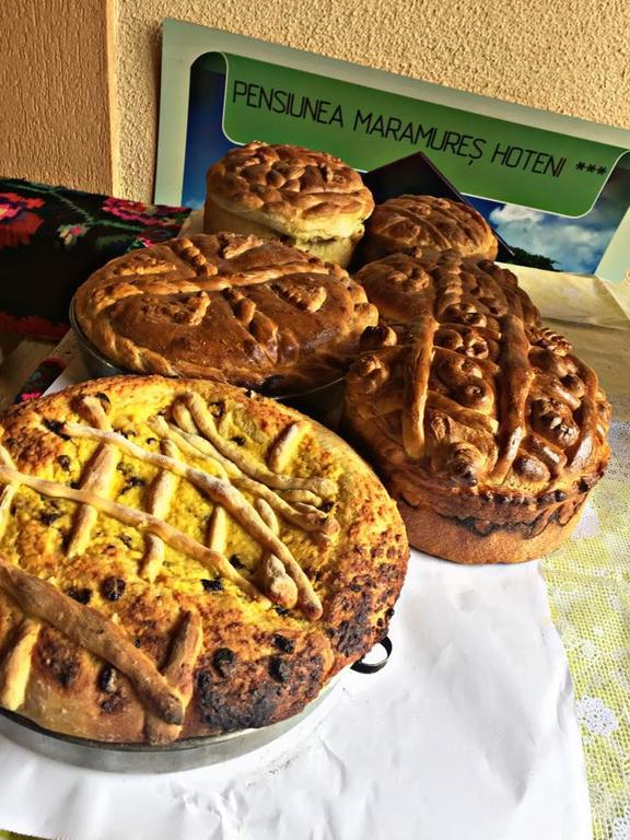 Pensiunea Maramures Ocna Şugatag Zewnętrze zdjęcie