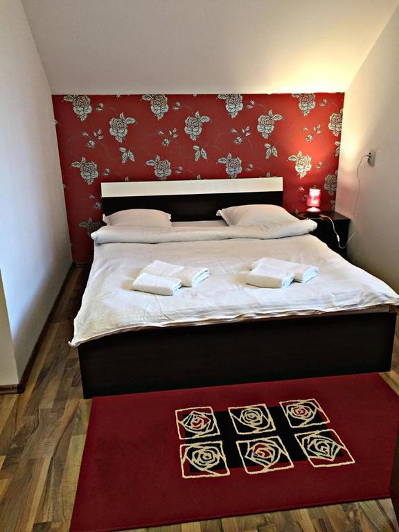 Pensiunea Maramures Ocna Şugatag Zewnętrze zdjęcie