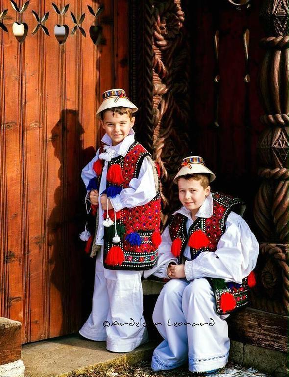 Pensiunea Maramures Ocna Şugatag Zewnętrze zdjęcie