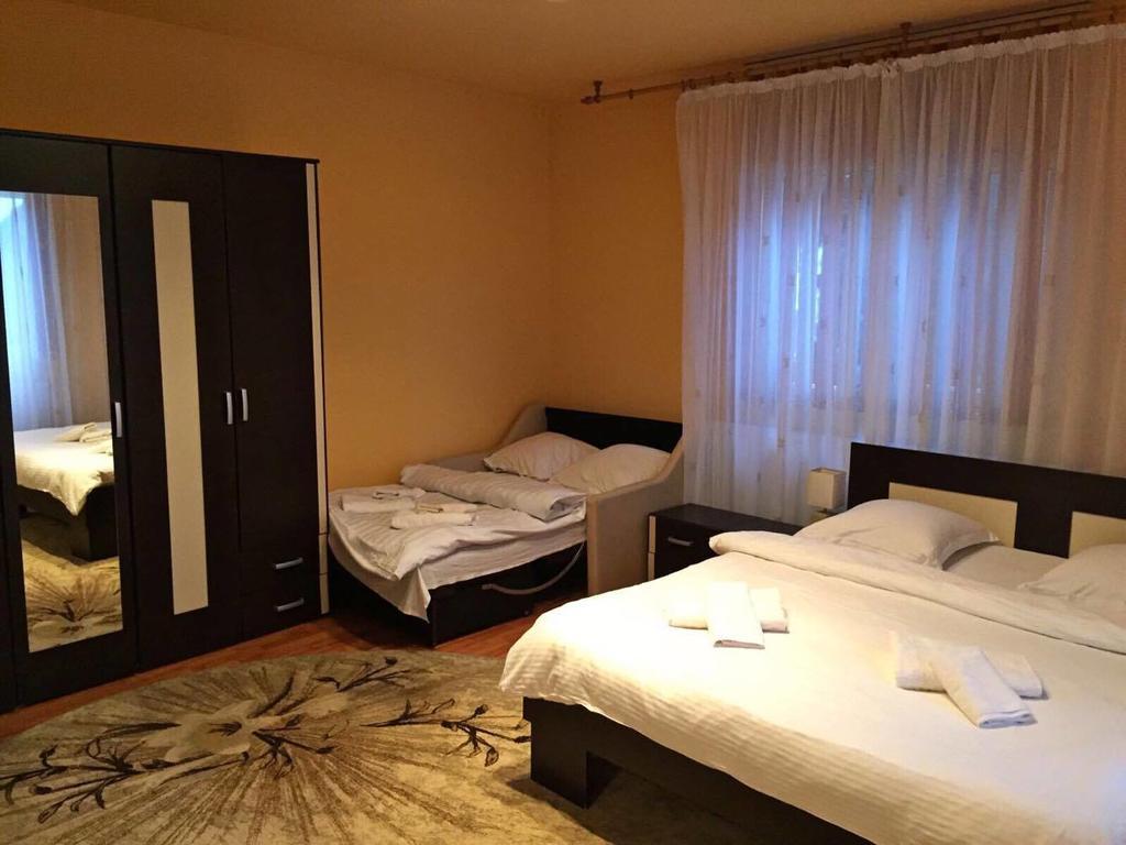 Pensiunea Maramures Ocna Şugatag Zewnętrze zdjęcie