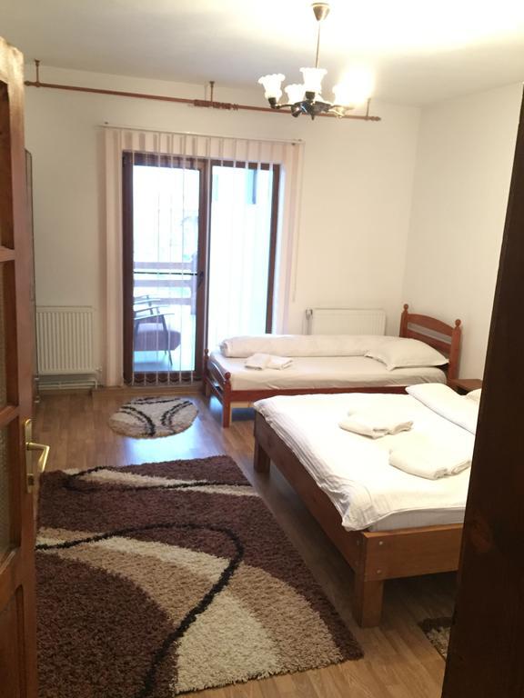 Pensiunea Maramures Ocna Şugatag Zewnętrze zdjęcie